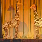 Tilly Tanzmaus 2011 Datteln