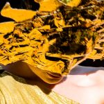 Vom Blau das teilen lernte 2013 Ahlen