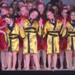 Ballettschule Moderegger Die Puppenfee Datteln